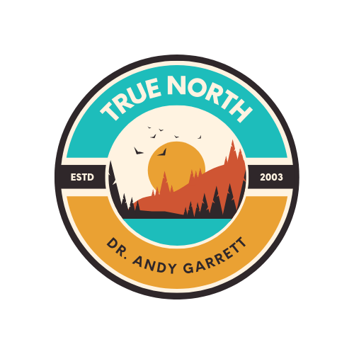 True North Logo